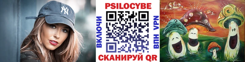Галлюциногенные грибы MAGIC MUSHROOMS  блэк спрут зеркало  Новоалександровск 