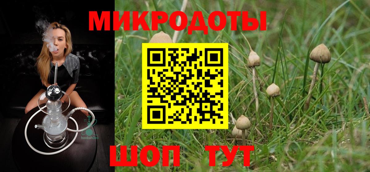 Новоалександровск  Псилоцибиновые грибы Psilocybe  Псилоцибиновые грибы Psilocybine cubensis  Вход с VPN 