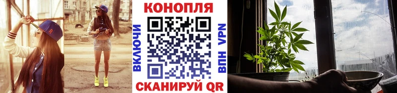 Шишки марихуана конопля Новоалександровск